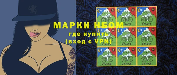 трава Новозыбков