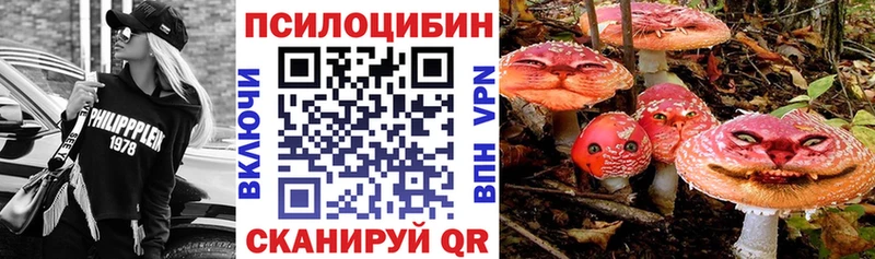 Псилоцибиновые грибы Psilocybe Пермь